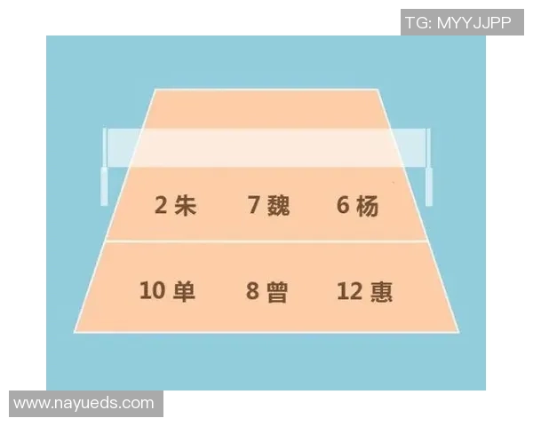 重庆排球队反击战术解析与未来发展展望